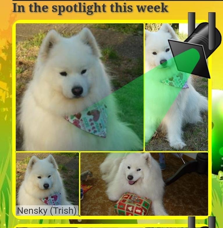 Nensky of the Trish family