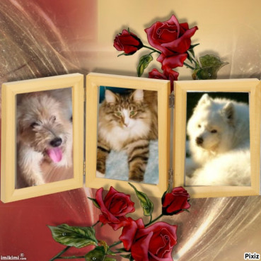 Nensky of the Trish family