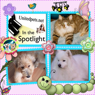 Nensky of the Trish family