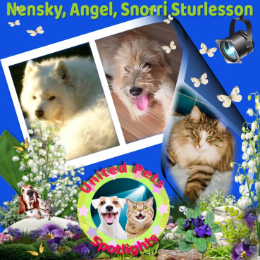 Nensky of the Trish family