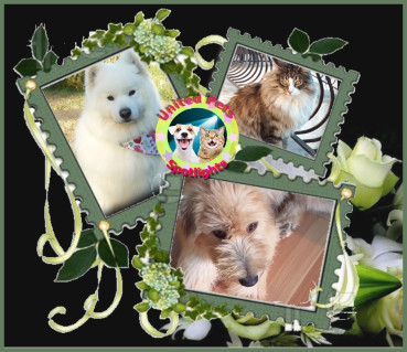 Nensky of the Trish family