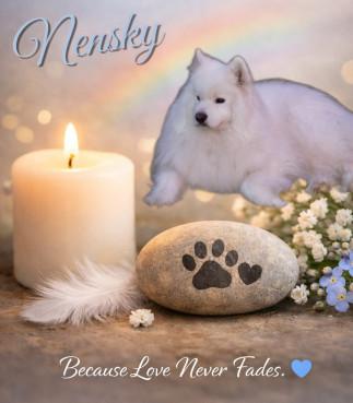 Nensky of the Trish family