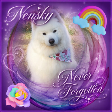 Nensky of the Trish family