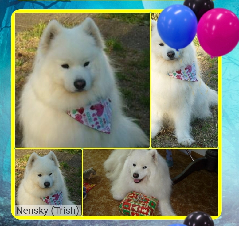 Nensky of the Trish family