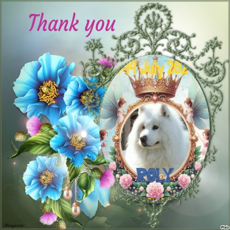 Trish uploaded   2 year/s ago