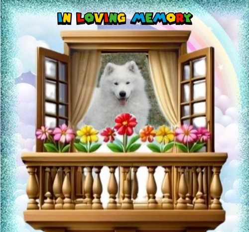 Roly of the Trish family