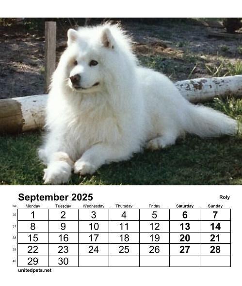 Roly of the Trish family