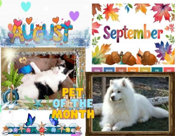 Roly of the Trish family