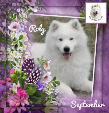 Roly of the Trish family