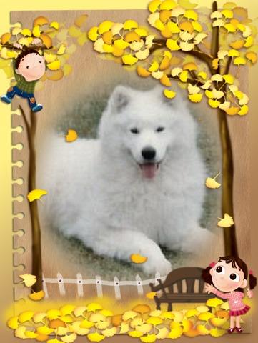 Roly of the Trish family