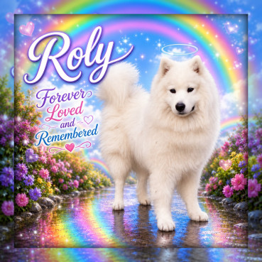 Roly of the Trish family