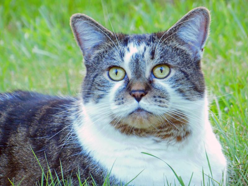 TuckersMom uploaded   1 year/s ago