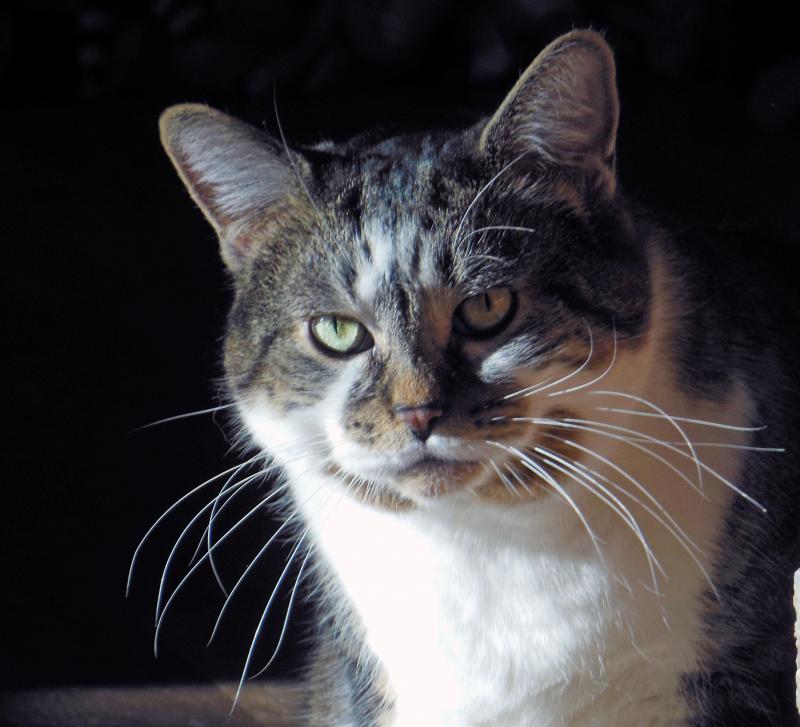 TuckersMom uploaded   1 year/s ago