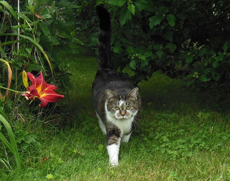 TuckersMom uploaded   6 year/s ago