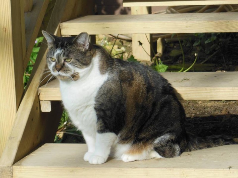 TuckersMom uploaded   6 year/s ago