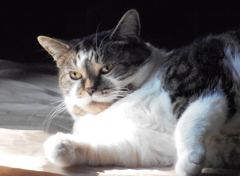 TuckersMom uploaded   6 year/s ago