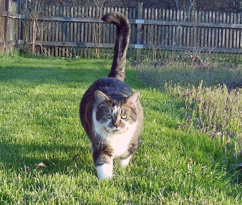 TuckersMom uploaded   6 year/s ago