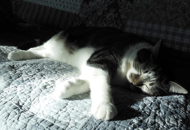 TuckersMom uploaded   6 year/s ago