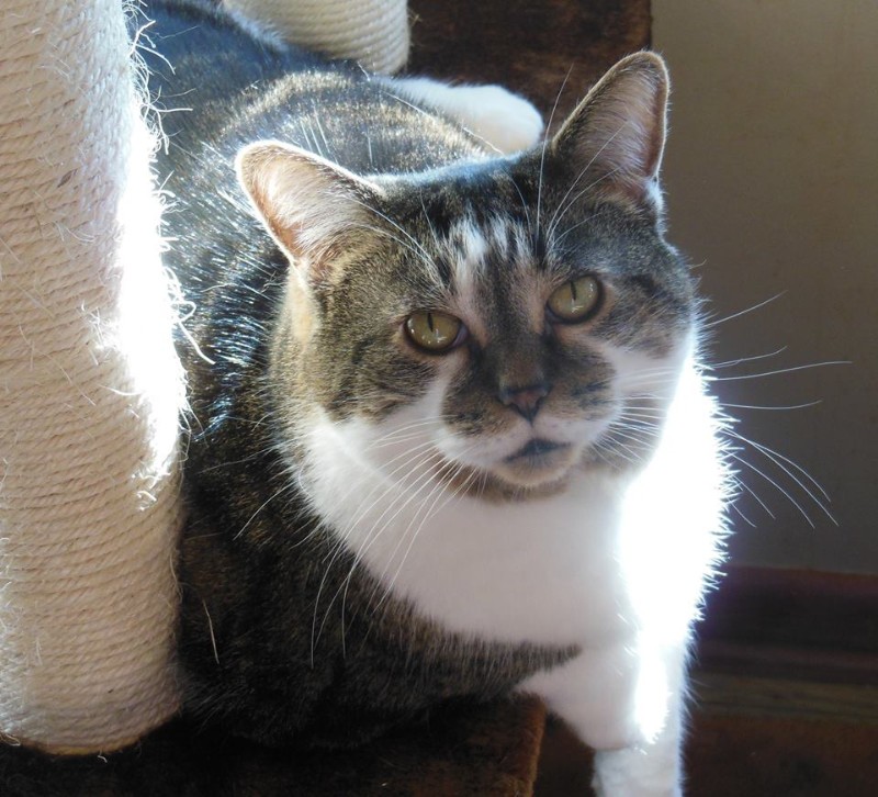 TuckersMom uploaded   6 year/s ago