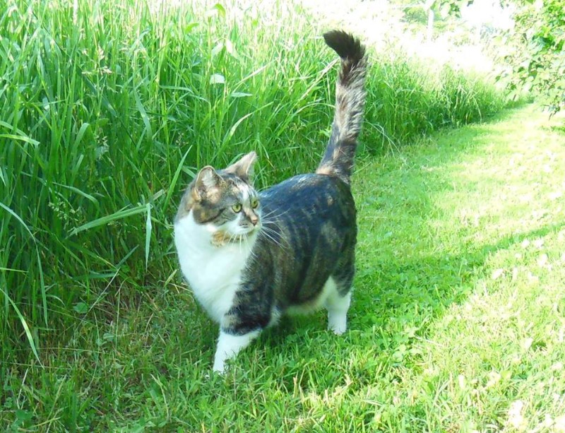 TuckersMom uploaded   6 year/s ago