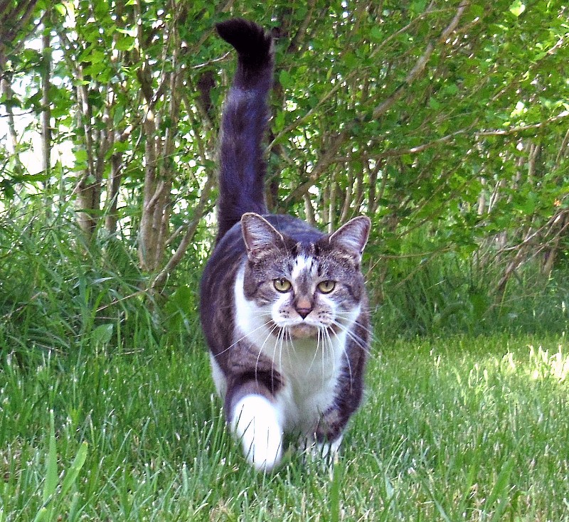 TuckersMom uploaded   5 year/s ago