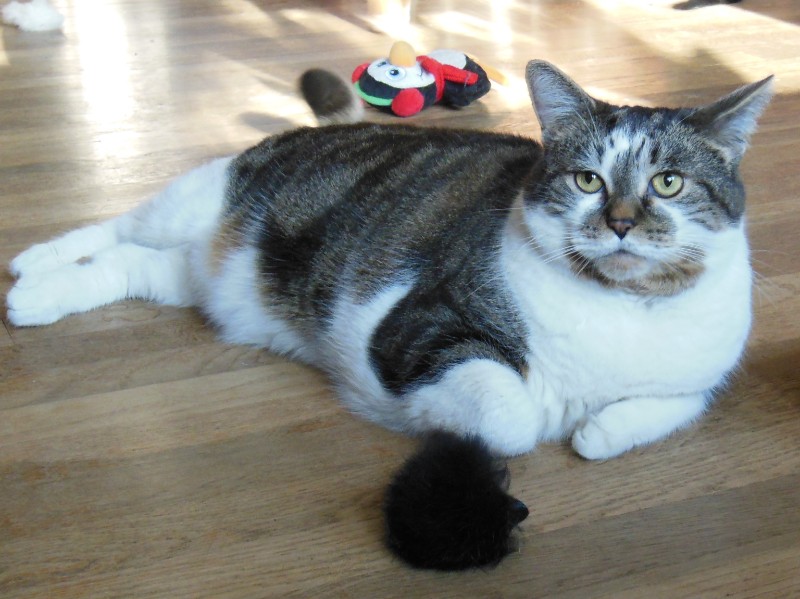 TuckersMom uploaded   3 year/s ago