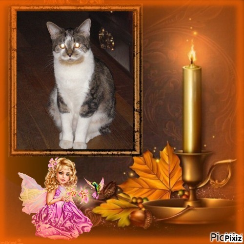 TuckersMom uploaded   41  day/s  ago