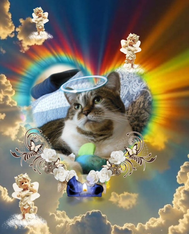 TuckersMom uploaded   41  day/s  ago