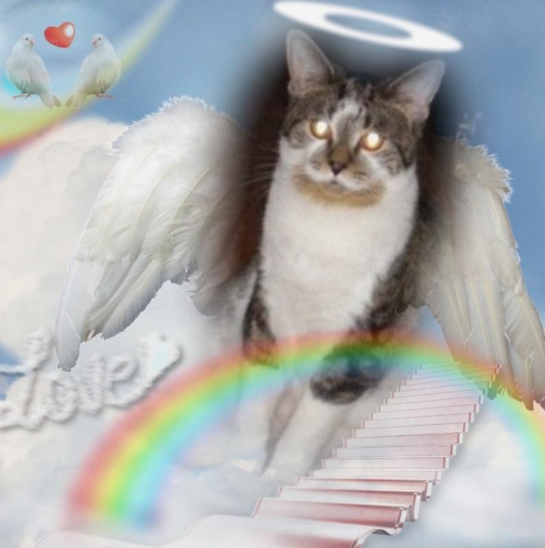 TuckersMom uploaded   41  day/s  ago