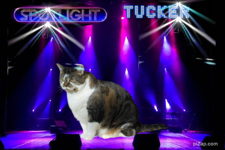 Tucker of the TuckersMom family