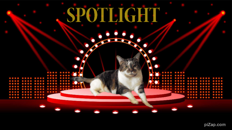 Tucker of the TuckersMom family