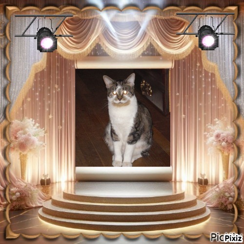 Tucker of the TuckersMom family