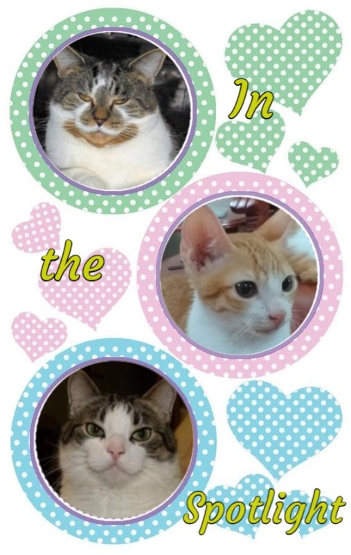 Tucker of the TuckersMom family