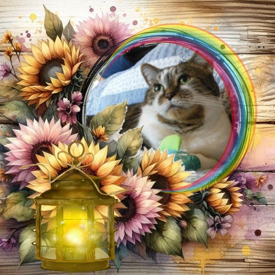 Tucker of the TuckersMom family