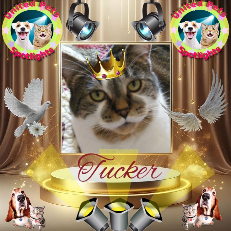 Tucker of the TuckersMom family