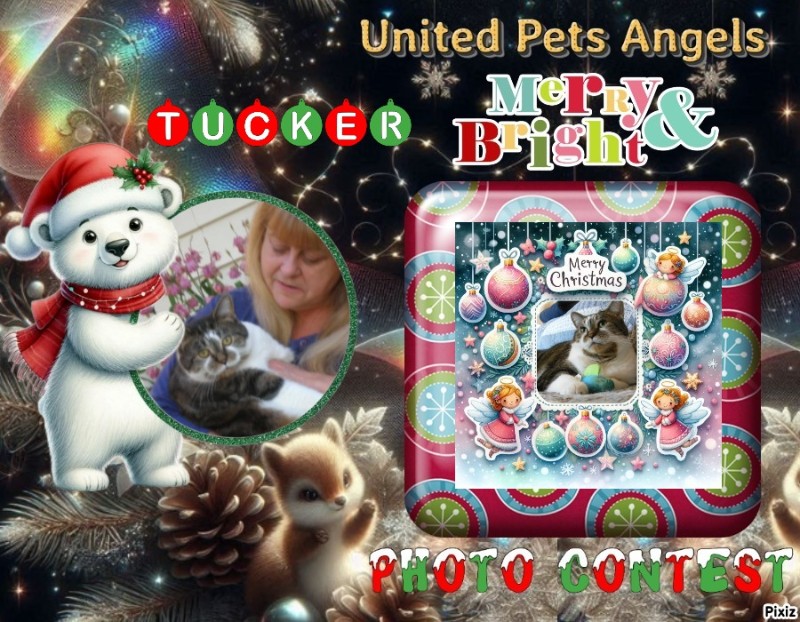 Tucker of the TuckersMom family