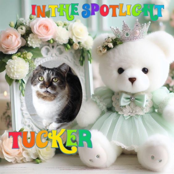 TuckersMom uploaded   2 year/s ago