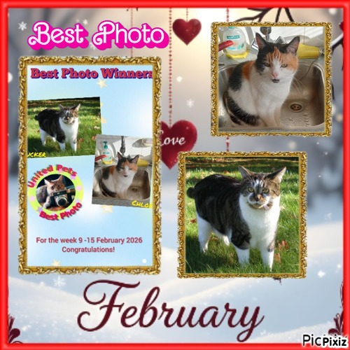 TuckersMom uploaded   41  day/s  ago