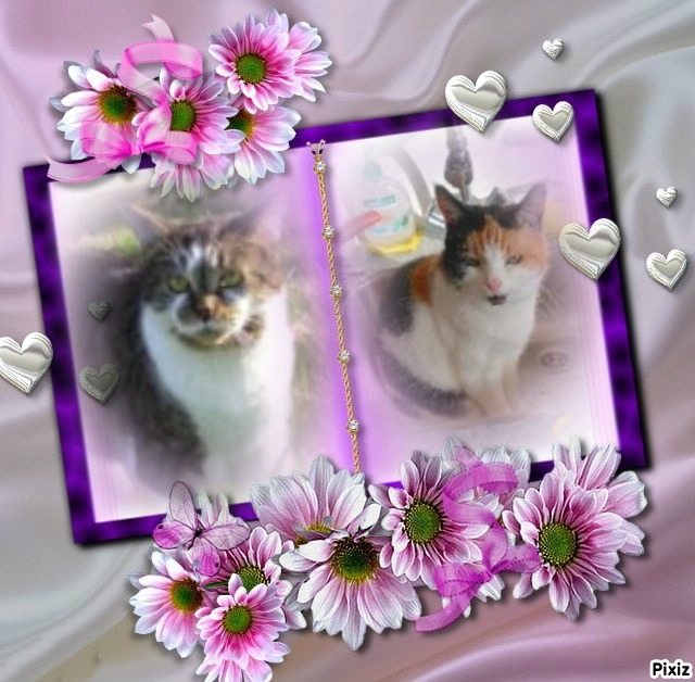 Tucker of the TuckersMom family