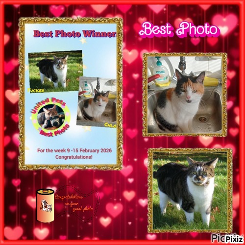 Tucker of the TuckersMom family