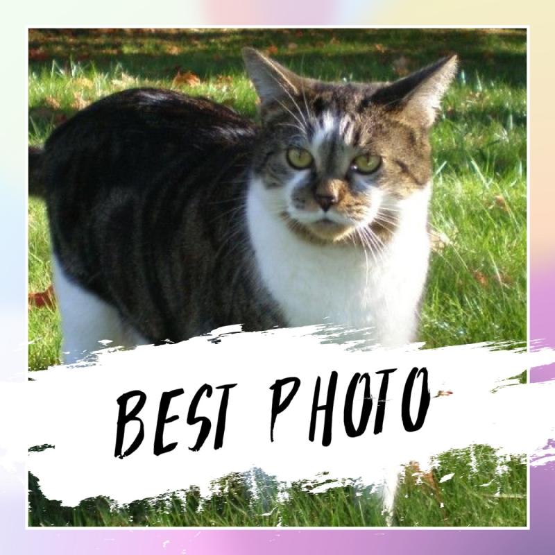 Tucker of the TuckersMom family