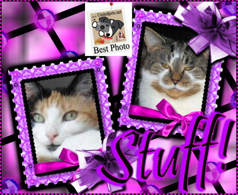 Tucker of the TuckersMom family