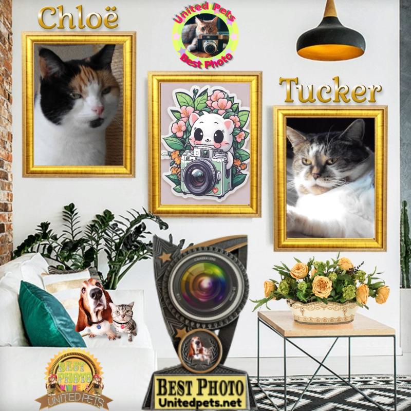 Tucker of the TuckersMom family