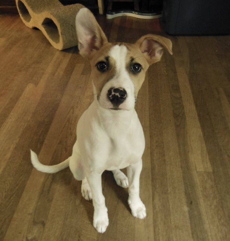 TuckersMom uploaded   6 year/s ago