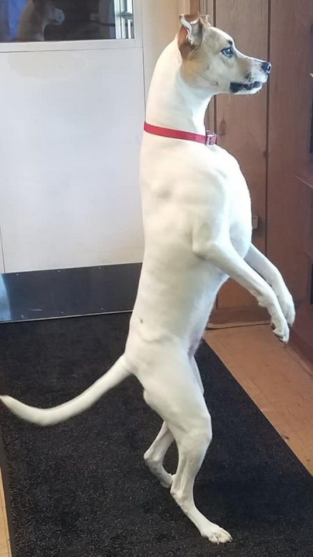 TuckersMom uploaded   6 year/s ago