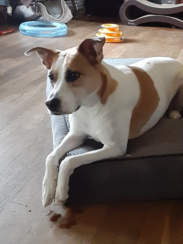 TuckersMom uploaded   3 year/s ago