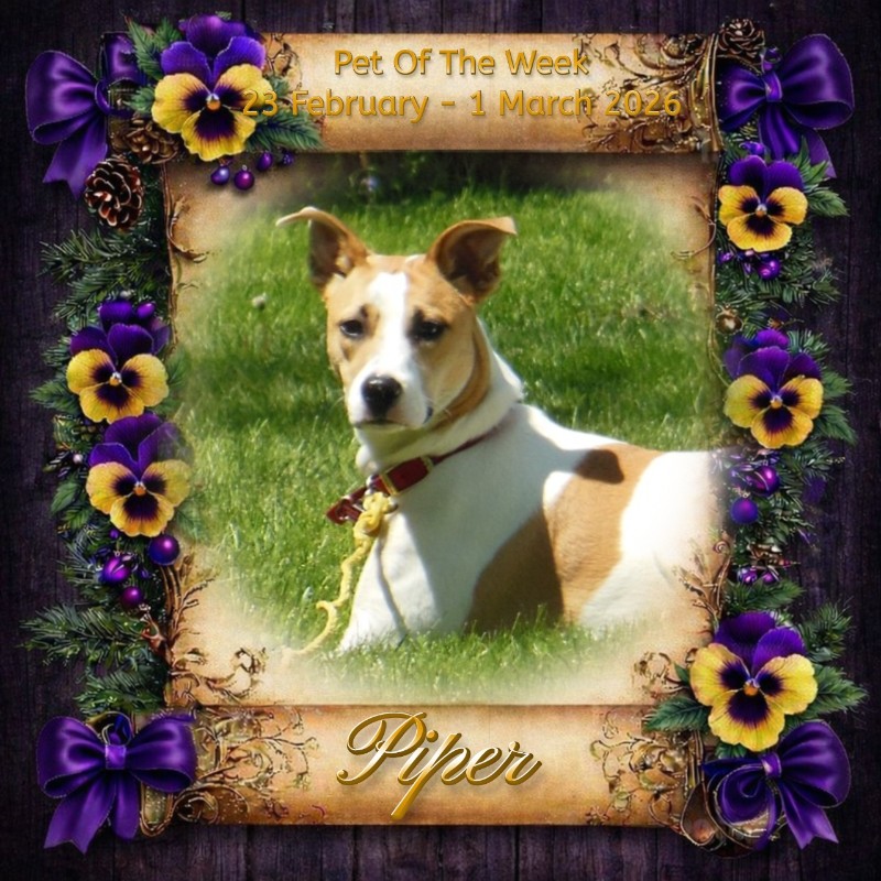 TuckersMom uploaded   50  day/s  ago