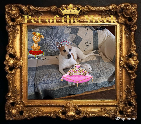 TuckersMom uploaded   50  day/s  ago