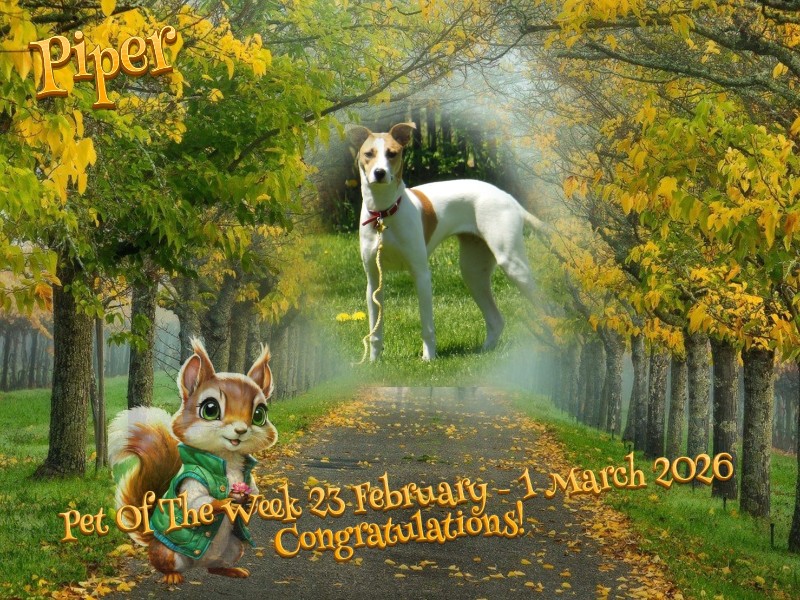 TuckersMom uploaded   50  day/s  ago