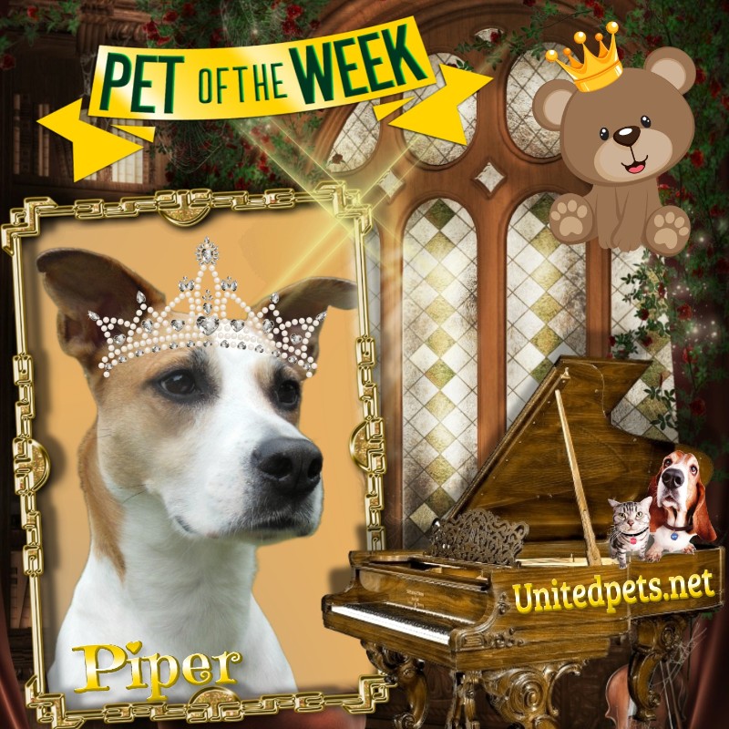 TuckersMom uploaded   50  day/s  ago